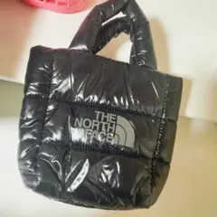 ザノースフェイスミニバック