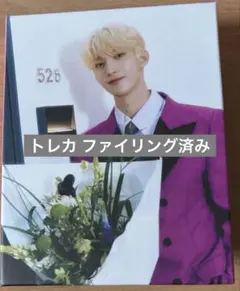 SEVENTEEN セブチ ドギョム トレカ DK