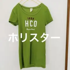 ホリスター　HOLLISTER 半袖 Tシャツ グリーン M
