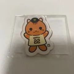リスガコバ　アクリルマグネット