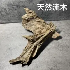 天然流木　No.43爬虫類 水槽レイアウト　植物レイアウト　ハンドメイド　ペットのサムネイル