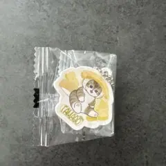 タナド アクリルキーホルダー 猫