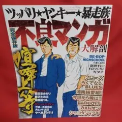 Item thumbnail for item 12a72f19-29a7-4bec-88b0-fdfd2d2f4dc7