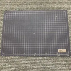 Item thumbnail for item becf38db-8fd6-4455-843b-bcbe29f9af9f