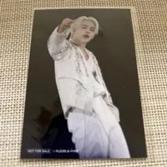 SEVENTEEN エスクプス 入場特典 ブロマイド セブチエキシビション