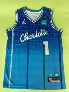 Jordan NBA Charlotte Hornets Ball 1