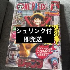 シュリンク付き ワンピースマガジン Vol. 20 付録付き ルフィ プロモ