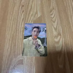 SECTOR 17 トレカ ウォヌ