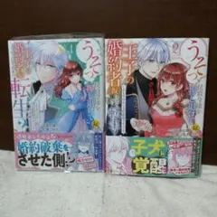 鳥白島 迷言かるた 読み上げCD付き Summer Pockets key - メルカリ
