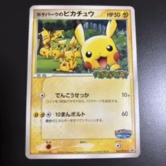 ポケパークの