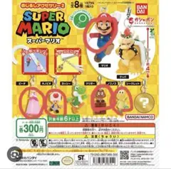 スーパーマリオ めじるしアクセサリー