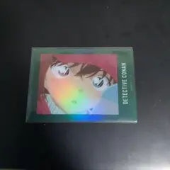 名探偵コナン 灰原哀 ぱしゃこれ