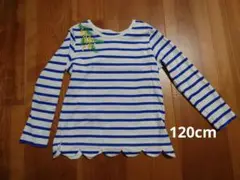 ベルメゾン　ブルーボーダー　ミモザ刺繍 120サイズ 長袖カットソー