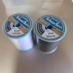 Item thumbnail for item 3bfe3313-e3d1-40fe-aef4-295f19856c6e