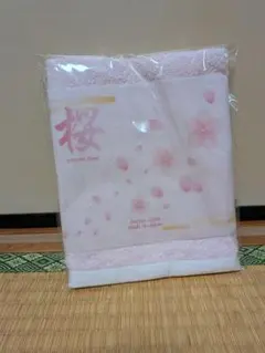 Item thumbnail for item cfced120-47af-4065-a6ee-23f210b4d048