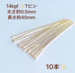 Item thumbnail for item 18c672c6-5694-40cc-950a-bd3ba9cc1c89