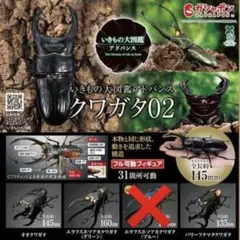 いきもの大図鑑アドバンス　クワガタ02 ガシャポン