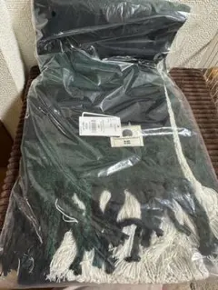 Item thumbnail for item a8728928-4ef4-44c2-86a0-368a0c4d98c8