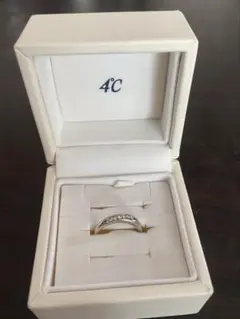 canal 4°C Silver Ring