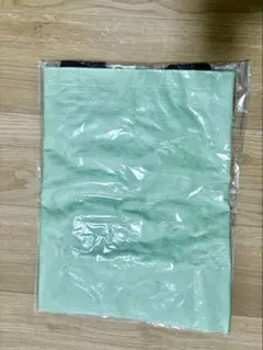 Item thumbnail for item f80d2efb-9cd4-4f01-bea8-885a99e4bb2c