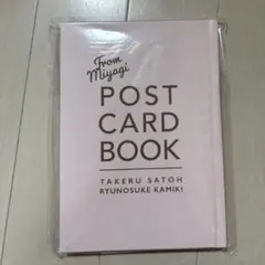 2026年最新】神木隆之介 佐藤健 ポストカードブックの人気アイテム