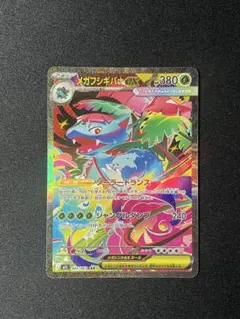 2025年最新】ギバナの人気アイテム - メルカリ