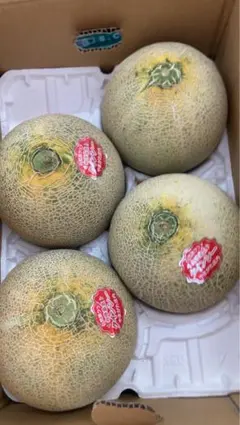 19訳あり 富良野産赤肉メロン 8kg箱 （4玉〜6玉）入り - メルカリ