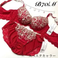 B70/M スペスタキャラー ブラジャー&ショーツ 上下セット 赤のサムネイル