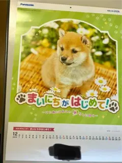 Item thumbnail for item 5d96154b-d200-4628-981f-5db224b26558