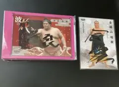 Item thumbnail for item c1db0a77-7cdc-4750-8e4e-139ac191eb52