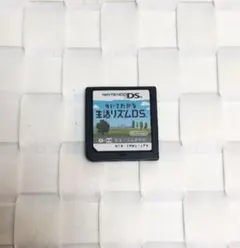 ⭐︎再々値下げです⭐︎歩いてわかる 生活リズムDS ソフト