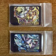 【おまけ付き】ポケモンフレンダ5弾　タケルライコ　ウネルミナモ