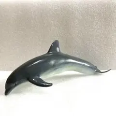 Safari バンドウイルカ モントレーベイ水族館コラボ サファリのサムネイル