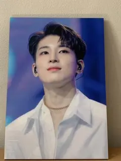 SEVENTEEN ウォヌ パネル