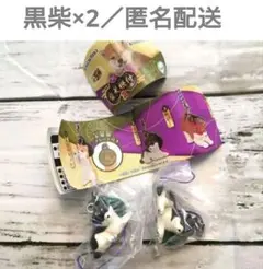 柴犬根付 黒柴2匹セット