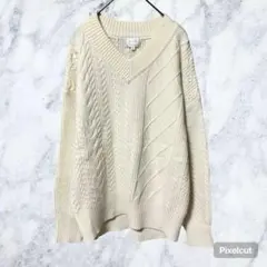 50252 新品 エマジェイムス 洗えるニット L ケーブル編み 白Vネック