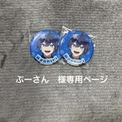 ぷーさん　様専用ページ