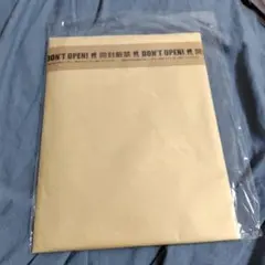 Item thumbnail for item efae2e47-e38a-456d-9b58-a55629466734