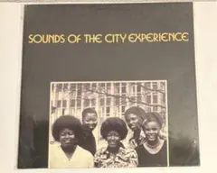 Ras G – Beats Of Mind 10インチレコード - メルカリ