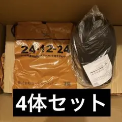 2026年最新】国家試験本番用ウィッグの人気アイテム - メルカリ