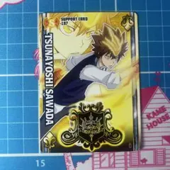 家庭教師ヒットマンリボーン！ サザンクロスバトル 沢田綱吉 197