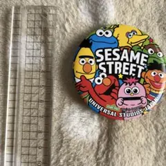 USJ セサミストリート　缶バッチ