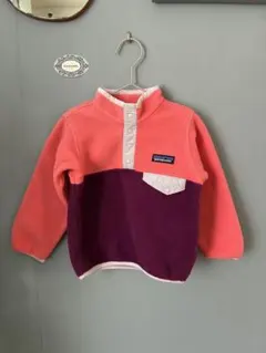 Patagonia スナップT