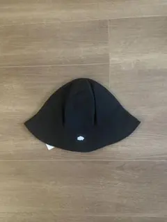 Item thumbnail for item 08101679-74b3-4d09-8870-45af0d5fdf6a