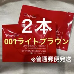 新品未開封〈リフィル〉×2本〈◇002チャコール〉パピリオ ステイ