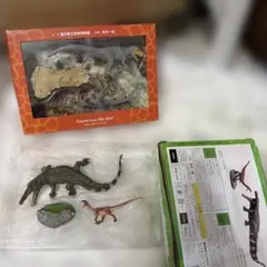 2026年最新】Redondasaurusの人気アイテム - メルカリ