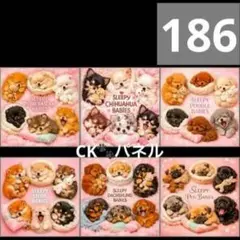 【186】CK様パネル　わんこ♪
