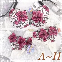 人気❣️クラシックピオニー♥️ブラジャー&2ショーツセット✨ワコール系トリンプ系