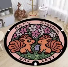 ポケモン　マンホール　ラグ　ほんべつ バージョン