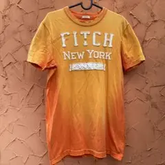 レア高級旗艦店限定全盛期新品ABERCROMBIE & FITCH Tシャツ
